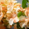 24.5"H Sullivans Yellow Wild Floral Blossom, Yellow - 2 of 2