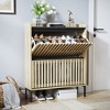 Freestanding Shoe Cabinet with 2 Flip Drawers, Narrow Shoe Cabinet Modern Narrow Organizer for Hallway and Entryway (Natural) - 2 of 4