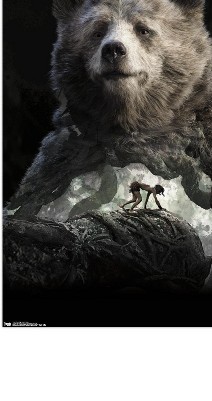 clear push pins bundle