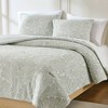 Lush Décor Willow Garden Restorative Gauze Jacquard Comforter Green - 3 of 4