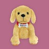 MerryMakers Biscuit the Little Yellow Puppy - 3 of 3