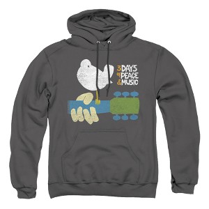 Men's Woodstock Perched Pull-Over Hoodie - 1 of 4