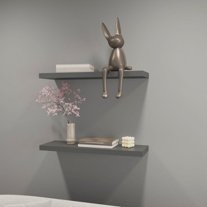 FONTOI 2PCS Storage Shelf Wall Mounted, Floating Shelf for Living Room Bathroom, Home Decor, Matte Gray, 31.5"*1.5"*9.8" - 1 of 4