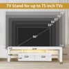 NicBex Modern TV Stand with LED Lights for TVs up to 75 Inches,TV Media Console Table with 2 Drawers and Open Shelves - image 3 of 4