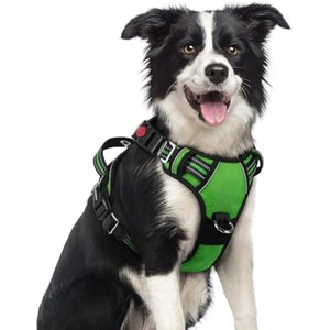 rabbitgoo Dog Harness Medium Sized, No Pull Dog Vest with 3 Buckles, Pet Harness with Easy Control Handle and Reflective Strips, Green, M - 1 of 1