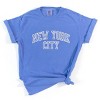 Simply Sage Market Embroidered New York Varsity Garment Dyed Tee - 2 of 4