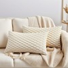 REGALWOVEN Soft Fuzzy Plush Decorative Throw Pillow Covers for Sofa Couch Bed Living Room 2 Pcs - 2 of 4