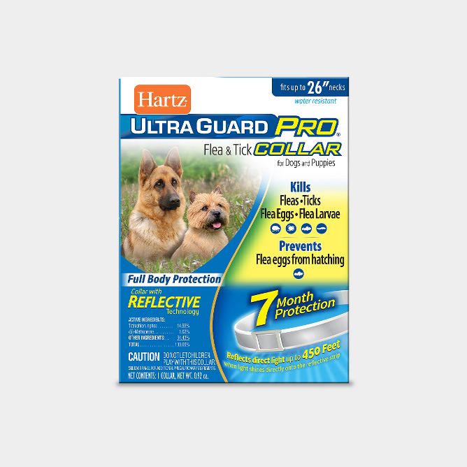 Flea medicine shop for dogs target