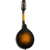 Kentucky KM-950 Master A-Style Mandolin Vintage Sunburst - 2 of 4