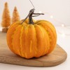 Foam Pumpkin Decor (Set of 2) - 2 of 3