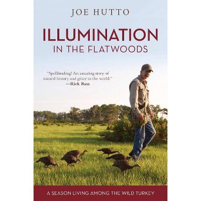 Illumination in the Flatwoods - by  Joe Hutto (Paperback)