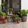 Bloem Colonnade 8" Peppercorn Round Planter Pot with Optional Knock-Out for Drainage - 2 of 2