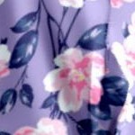 soft iris blossom vine