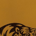 memphis tigers
