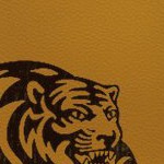 memphis tigers