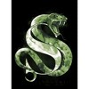 Men's Harry Potter Slytherin Snake Watercolor Pull Over Hoodie - 2 of 4