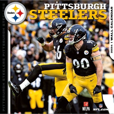 Pittsburgh Steelers : Sports Fan Shop : Target