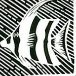 floral turtle prints black