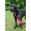 Country Brook Petz Deluxe Nylon Dog Collar and Leash - 4 of 4