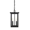 Elegant Lighting Venango 7 inch Outdoor Pendant in Black - 2 of 4