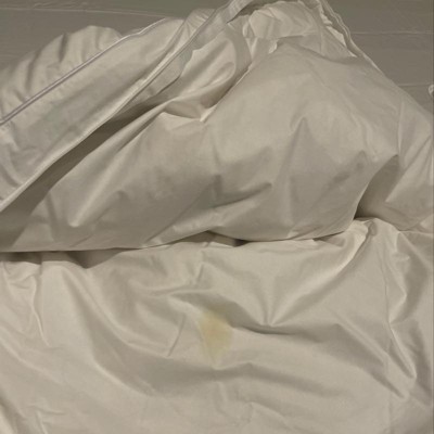 Guest review image 2 of 2, zoom in