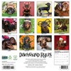 Willow Creek Press 12"x12" 2026 Dachshund Rules Wall Calendar - 2 of 4