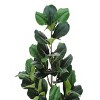GlasFlength Artificial Plants Artificial Rubber Tree Artificial Fiddle Tree Faux Plants for Indoor Home Decoration, Green, 25"*17"*49" - 3 of 4