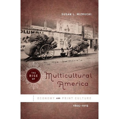 The Rise of Multicultural America - by  Susan L Mizruchi (Paperback)