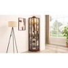 Glass and Wood Lighted Corner Curio Display Cabinet with Glass Doors, Carved Decoration, Adjustable Shelves - 2 of 4