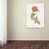 Katie Pertiet 'Colorful Hummingbirds I' Canvas Art - 3 of 3
