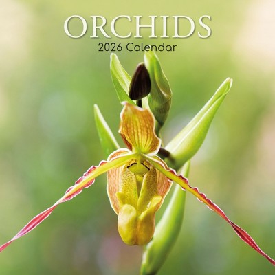 2026 Square Wall Calendar, Orchids, 16-Month Floral Theme with 180 Reminder Stickers (12x12 In)