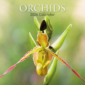 2026 Square Wall Calendar, Orchids, 16-Month Floral Theme with 180 Reminder Stickers (12x12 In) - 1 of 4