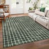 Modern Checkered Area Rug Farmhouse Geometric Print Rugs for Living Room Bedroom Low Pile Non-Slip Rug - 2 of 4