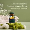 Gaia Herbs St. John's Wort - Natural Stress Support Supplement to Help Maintain Emotional Health - 60 Vegan Liquid Phyto-Capsules - 3 of 4