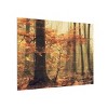 Trademark Fine Art Anton van Dongen Soft Fall Wood Slat Art - image 2 of 4