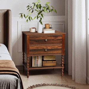 Karl Home 2-Drawer Brown  Particle Board 24.02in. W Nightstands - 1 of 4