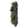 Vickerman Artificial Frosted Douglas Fir Collection - 3 of 4