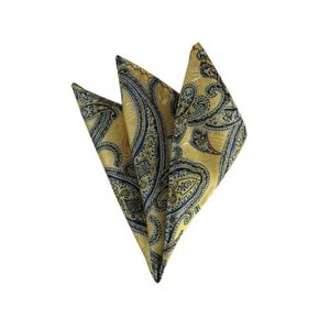 TheDapperTie - Men's Paisley Woven 10 Inch x 10 Inch Pocket Squares Handkerchief - 1 of 3