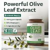 Olive Leaf Extract Capsules, Cardiovascular and Immune Health, Health's Harmony, 60ct or 120ct - 2 of 4