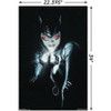 Trends International DC Comics - Catwoman - Portrait Unframed Wall Poster Prints - 3 of 4