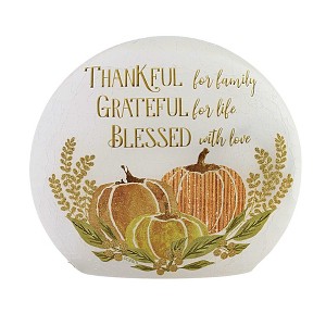 Stony Creek 6.5 Inch Beautiful Bounty Pre-Lit Orb Autumn Thanksgiving Novelty Sculpture Lights - 1 of 3