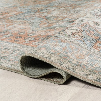 Armae Blue and Terra Distressed Chenille 4' x 6' Area Rug