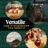 HealthiStraw FarmStraw Coarse Cut, All-Natural, Clean Animal Straw Bedding for Hobby Farms, Small Pets, 3 cu ft (10-12 cu ft usable volume) - 3 of 4
