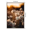 Amanti Art White Poppy Field No 2 by Treechild  Framed Canvas Wall Art - 4 of 4