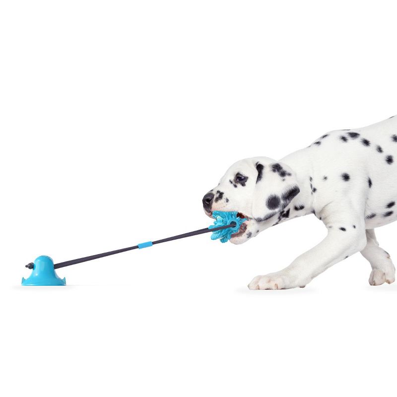 Flipo Ruff & Ready Solo Dog Training Chew & Tug Toy With Molar Ball - Hours of Play, 2 of 4
