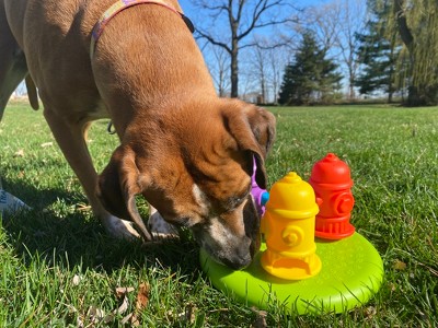 Brightkins Magic Wand Treat Dispenser: Bolt - Dog Treat Holder and Target  Stick, Treat Dispenser for Dogs, Treat Dog Toys