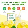 True Citrus, True Lemon, Original Lemonade, 10 Packets, 0.11 oz - 4 of 4