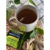 Bigelow Green Tea with Ginger Plus Probiotics Tea Bags - 18ct - 2 of 2