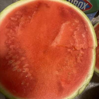 Guest review image 1 of 3, zoom in