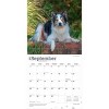 BrownTrout Border Collies 2026 12"x24" Hanging Square Wall Calendar Plastic-Free - 4 of 4